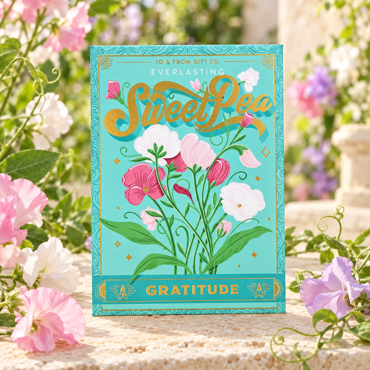 Sweet Pea "Gratitude" wildflower seeds Belle Box